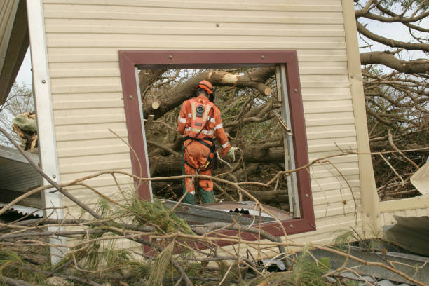 Professional Tree Services in Mission, TX